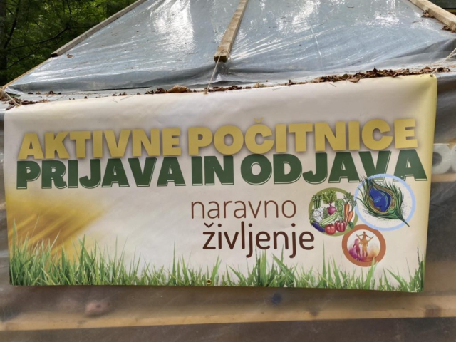 aktivnpocitnicejogij.si_