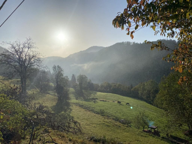 jogijživrti