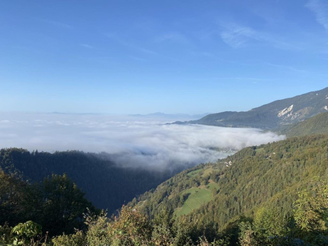 jogijživrti4