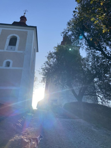 jogijživrti44