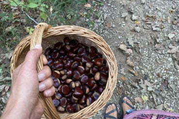 Živeti življenje je naša dolžnost ali privilegij?