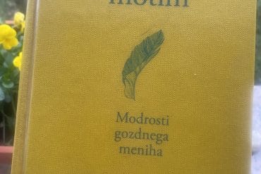 Naša tema, senca
