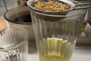 🍁 Vedska zgodba: Modrec, drevo Pipal in lekcija o spuščanju